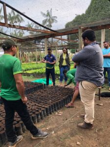 Imagem da notícia - Em Lábrea, Idam prepara 9,6 mil mudas de cacau para distribuição a agricultores familiares