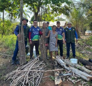 Imagem da notícia - Idam e Embrapa levam nova variedade de mandioca para agricultores familiares de Lábrea
