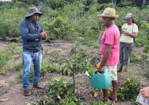 Imagem da notícia - Em Autazes, Idam faz treinamento de poda de frutíferas e cultivo de hortaliças