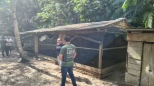 Imagem da notícia - Idam fortalece a cadeia produtiva da avicultura de Santa Isabel do Rio Negro com curso de capacitação