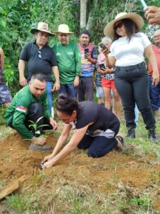 Em Iranduba e Manacapuru, Idam distribui 6,1 mil mudas de castanheira a agricultores fami…